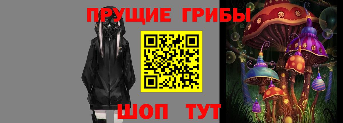 Сухой Лог  Галлюциногенные грибы Psilocybe  Вход с VPN 
